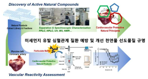 미세먼지로 인해 유발되는 심혈관질환 예방 및 개선효능 활성 천연물의 도출연구 요약