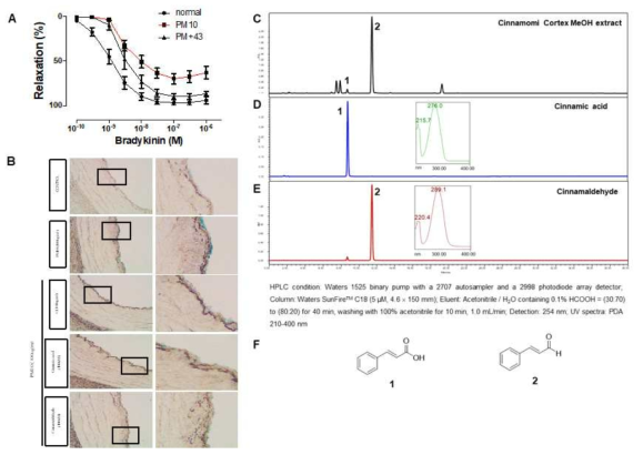 육계와 주요성분의 미세먼지 유발 관상동맥 혈관반응성 개선효능 및 HPLC 프로파일: 육계 MeOH 추출물의 관상동맥 혈관반응성 악화 개선효능(A), 육계와 주요성분 cinnamic acid (1) 및 cinnamaldehyde (2)의 혈관 노화인자 활성 감소(B), 육계 MeOH 추출물의 HPLC 프로파일(C-E), 육계 유래 화합물 cinnamic acid (1) 및 cinnamaldehyde (2)의 구조(F)