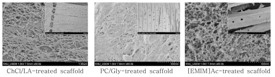 Morphological characteristics of scaffolds prepared by ChCl/LA, PC/Gly, and [EMIM]Ac treatment