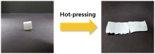 Appearance of hot-pressed HCNF scaffold