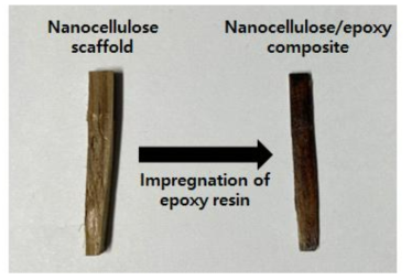 Preparation of nanocellulose/epoxy composite