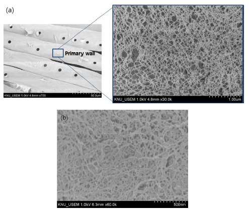 Morphological characterization of HCNF scaffold (a) and PCNF scaffold (b)