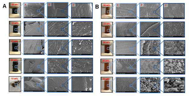 SEM images of CE-epoxy polymer resins (A)R1a and (B)R2a synthesized with different PEG400 content. Scale: 1)100um(500x), 2)10um(10kx), 3)1um(50kx)