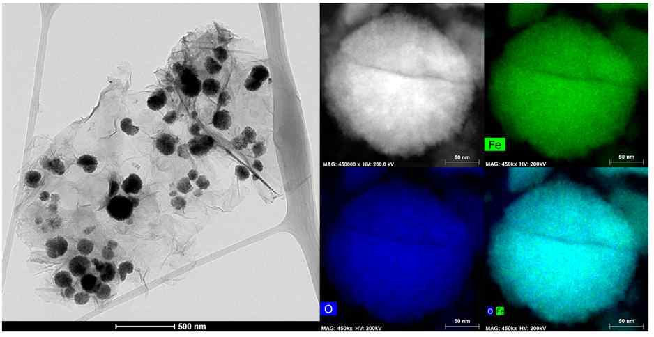 TEM and EDS map of 12CE4-HCTP-rGO-Fe3O4