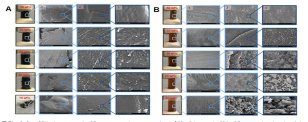 SEM images of CE-epoxy polymer resins (A) R1a and (B) R2a synthesized with different PEG 400 content. Scale: 1) 100 um (500x), 2) 10 um (10kx), 3) 1um (50kx)