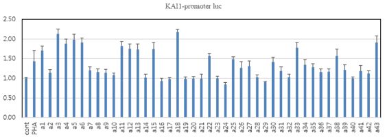 Luciferase reporter를 이용한 KAI1발현을 증가시키는 화합물 탐색 (A series)
