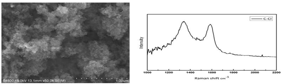 Bifunctional carbon의 FE-SEM image (왼쪽) ; 라만스펙트럼 (오른쪽)