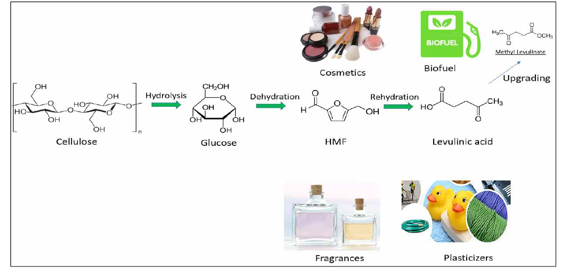 글루코오스를 레불린산 및 methyl levulinate로의 upgrading 및 적용 가능성