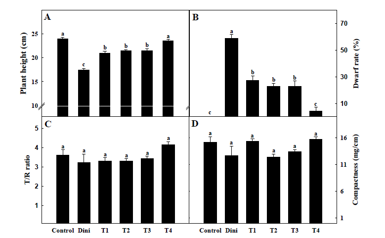 진동처리에 따른 고추 접목묘의 초장(A), 왜화율(dwarf rate, B), T/R율(C), 및 충실도(compactness, D)