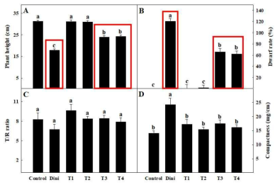 송풍처리를 이용한 고추 접목묘의 초장(A), 왜화율(dwarf rate, B), T/R율(C), 및 충실도(compactness, D)