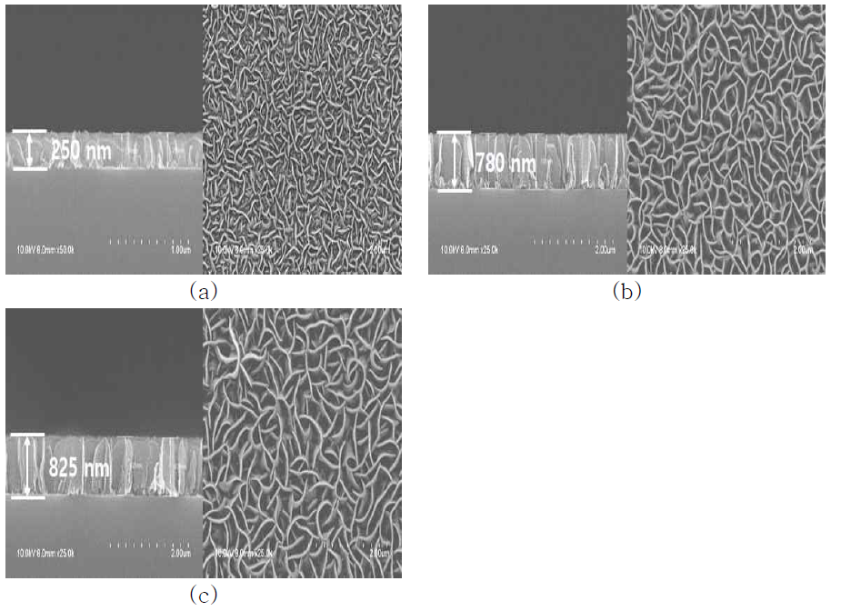 성장 시간에 따라 성장된 탄소나노월의 단면 및 표면 FE-SEM (a) 5 min, (b) 10 min 및 (c) 15 min