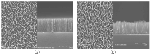 산소 플라즈마를 이용하여 (a) 전 처리 전 실리콘 웨이퍼 위에 성장한 탄소나노월과 (b) 전 처리 후 실리콘 웨이퍼 위에 성한 탄소나노월