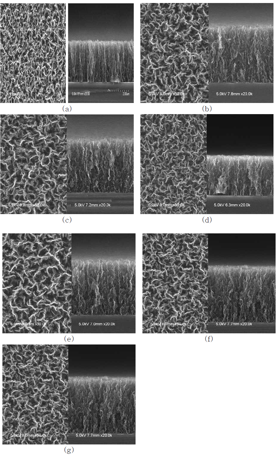 As-grown CNW SEM 이미지 (a); 산소분위기 (c) 300 ℃, (d) 600℃, (e) 900 ℃로 열처리한 CNW 및 질소분위기 (f) 300 ℃, (g) 600 ℃, (h) 900 ℃로 열처리한 CNW SEM 이미지