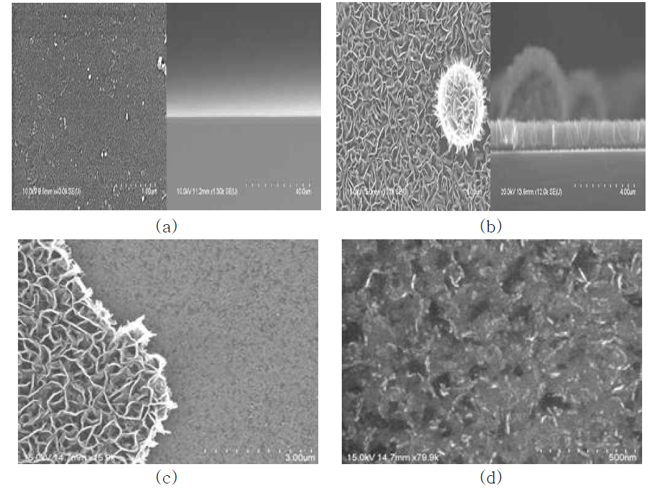 Si-wafer 기판위에 바로 성장한 (a) 탄소나노월, (b) ITO 위에 성장한 탄소나노월, (c) TiN 위에 성장한 탄소나노월의 리프트 오프 공정 후 FE-SEM 이미지; (d) 탄소나노월/TiN 구조에서 리프트 공정에 의해 해리된 부분의 FE-SEM 이미지
