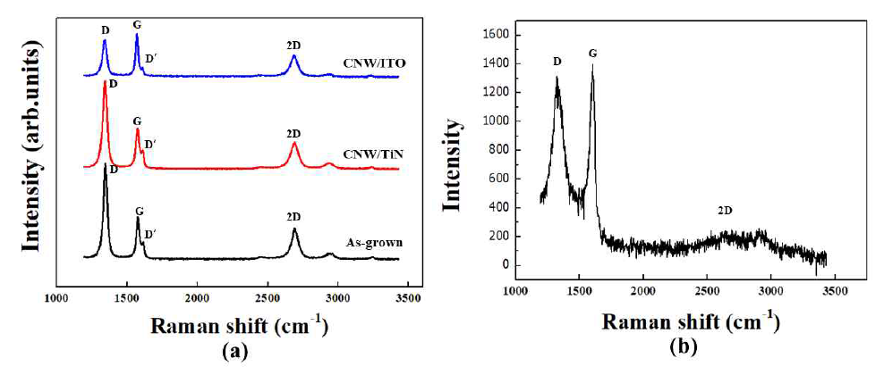 FE-SEM 이미지.(a) Si-wafer 위에 바로 성장한 탄소나노월, TiN 위에 성장한 탄소나노월, ITO 위에 성장한 탄소나노월, 그리고 리프트 공정 후 해리된 탄소나노월/TiN 부분에서의 라만 스펙트럼