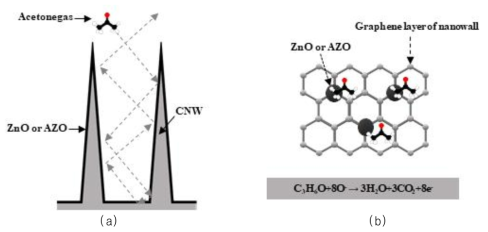 벽모양의 금속산화물이 증착된 CNW와 아세톤가스 사이의 감지 (a)모식도와 (b)메커니즘