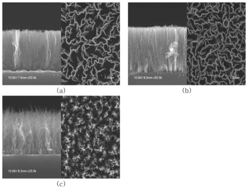 전도막 위에 합성된 탄소나노월의 단면 및 표면 FE-SEM (a) W/Si, (b) Cu/Si 및 (c) Ni/Si