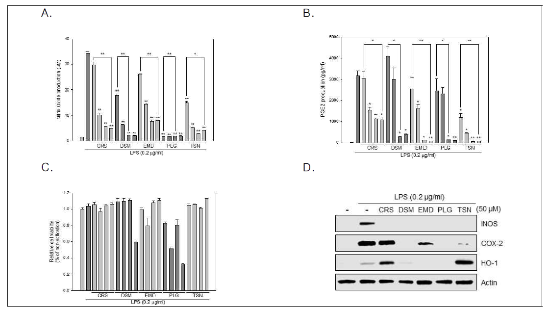 The effects of five different kinds of phytochemicals on NO production, PGE2 production, cell viability, and the expression of pro-inflammatory proteins by chrysin treatment in LPS-stimulated RAW264.7 cells. (A) NO production assay, (B) PGE2 ELISA assay, (C) Cell viability assay, (D) Western blot analysis
