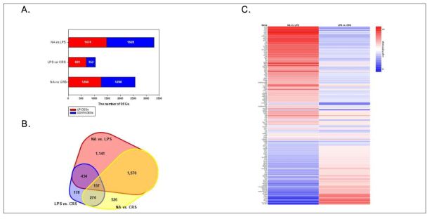 Analysis of the differentially expressed genes by the CRS treatment in LPS-sitmulated RAW264.7 cells by RNA-seq analysis