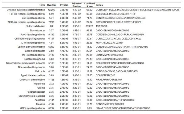 KEGG pathway enrichment analysis of DEGs identified in commonly regulated genes