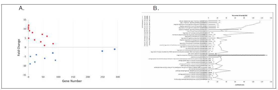 Analysis of the differentially expressed genes by the CRS treatment in HCT116 cells by RNA-seq analysis