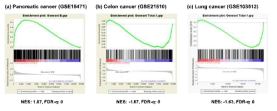 GSEA results for (a) pancreas, (b) colon, and (c) lung cancer