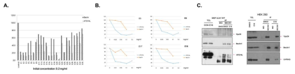 Identification and characterization of autophagy-specific natural compound extracts