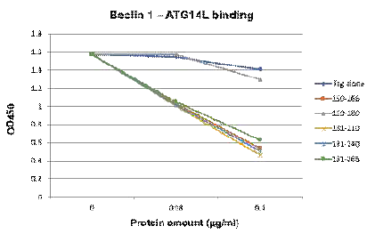 Binding assay of Beclin1-ATG14L in the presence of competitive ATG14L binding inhibitor proteins containing the indicated ATG14L binding regions on Beclin 1. Beclin1-ATG14L binding was determined by in vitro VPS34 complex assay in the presence of the indicated amount of N-Tag fused inhibitor proteins