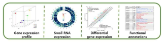 전사체 염기서열 (RNA-Seq) 분석을 통한 암 특이적 신진대사 네트워크 도출계획