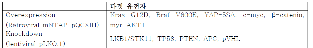 모델 암 세포주 패널 제작을 위한 11개 발암 유도 유전자 발현 시스템