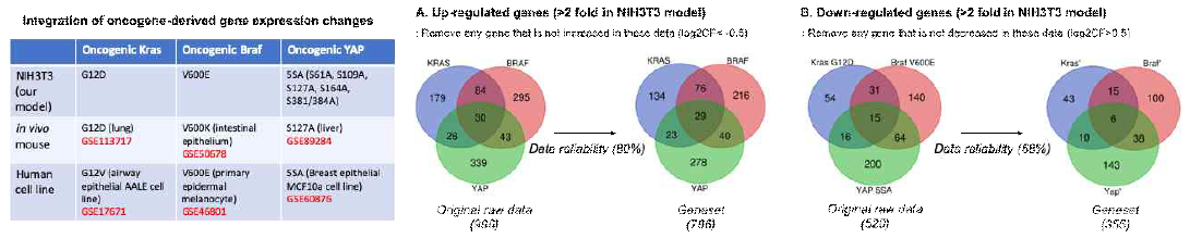 Determination of the data reliability of our experimental model by combining with other experimental cancer models derived by the same oncogenic gene