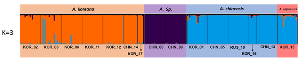 EST-SSR 마커를 사용한 노루오줌 종 복합체 STRUCTURE 분석 결과 확인된 유전적 군집(K=3)