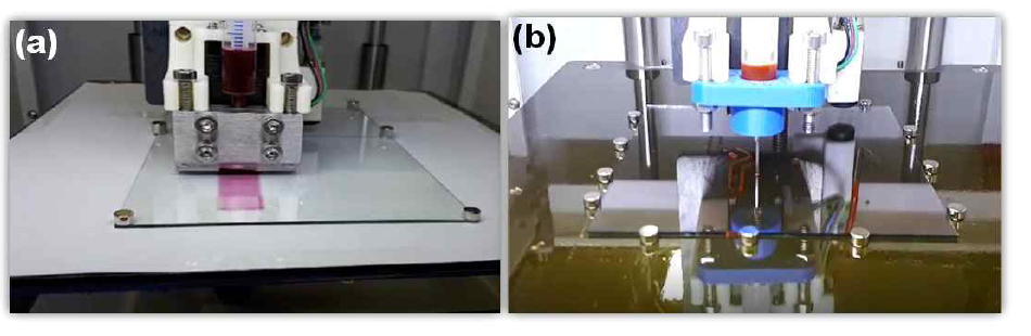 Photos of (a) slot-die coating and (b) nozzle (blunt needle) coating