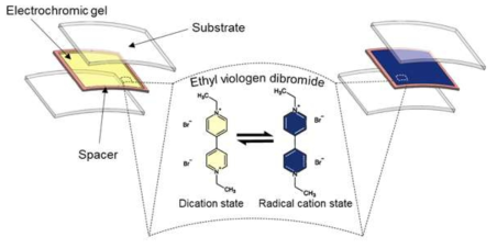 Device structure and EC mechanism of viologen based ECD