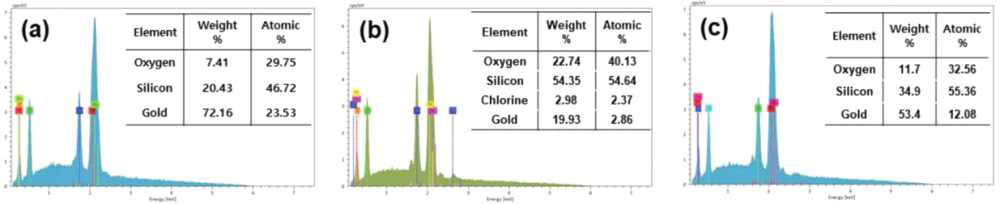 SPR 센서의 EDS 분석 결과 (a) SiO2/Au thin film after the immobilization, (b) the treatment of PNCT SAM, (c) the treatment NH4OH