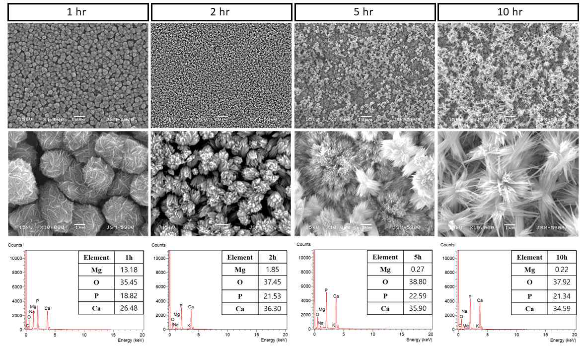 Surface morphologies and chemical composition of Mg mesh subjected to alkali-hydrothermal treatment for various times