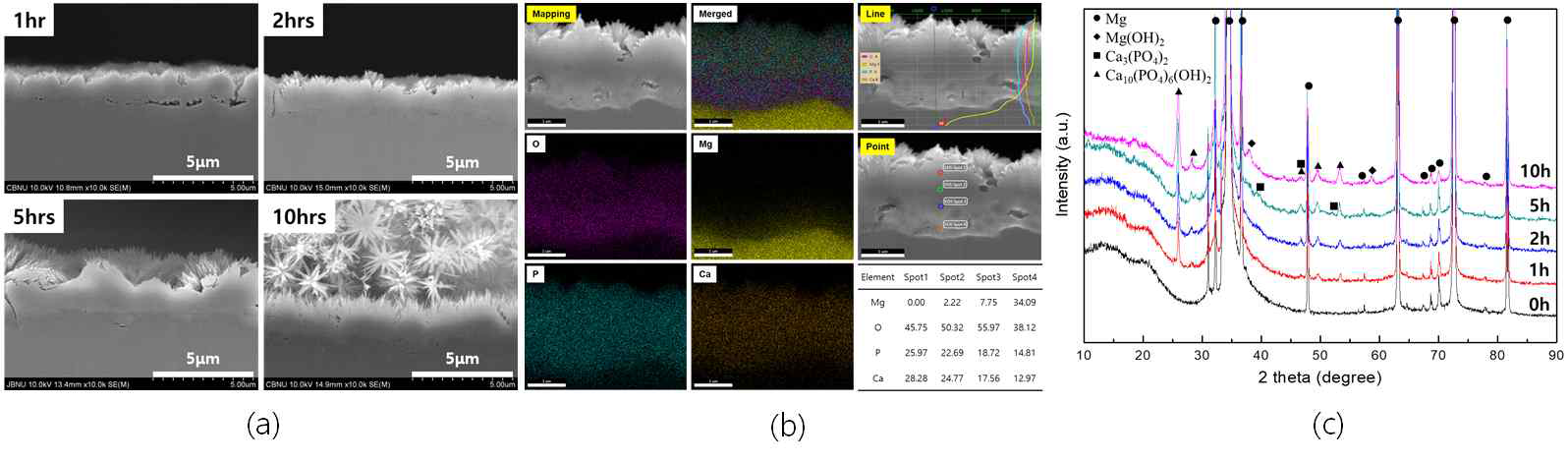 (a) cross-sectional images, (b) elemental analysis, and (c ) XRD patterns of CaP-coated Mg after alkali-hydrothermal treatment for 2 h