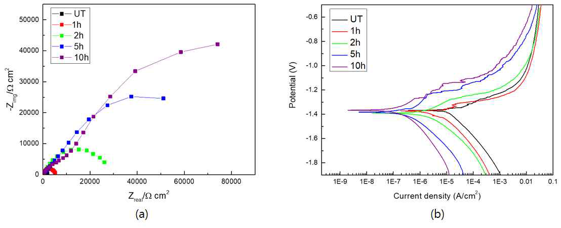 Electrochemcial corrosion characteristics of CaP coated Mg mesh; (a) Electrochemical impedance spectroscopy, (b) DC polarization