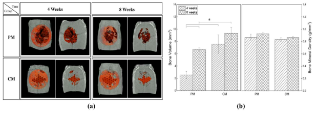 (a) Micro-CT images of the morphology of degraded Mg mesh and newly formed bone in the rat calvarial defect (Mg mesh was highlighted in orange), and (b) quantitative volume and mineral density for the new bone formed in rat calvarial defects after in vivo test (* means p<0.05)