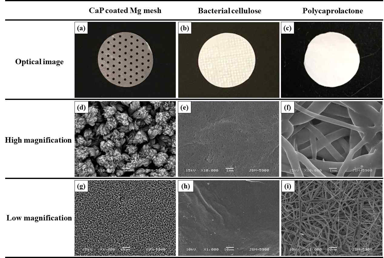 Optical images and scanning electron micrographs of three different types of absorbable membranes: CM (CaP coated Mg, (a), (d), and (g)), BC (Bacterial cellulose, (b), (e), and (h)), and PCL (Polycaprolactone, (c), (f) and (i))