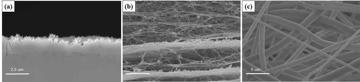 The cross-sectional micrographs of the difference in three types of absorbable membranes: CM (a), BC (b), and PCL (c)