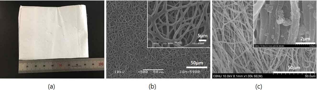 (a) Optical image and (b) SEM image of PCL membrane, and (c) SEM image of PCL membrane after PDA coating