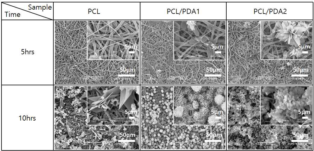 Surface morphologies of CaP coated PCL membrane with coating conditions of PDA and treatment time of CaP