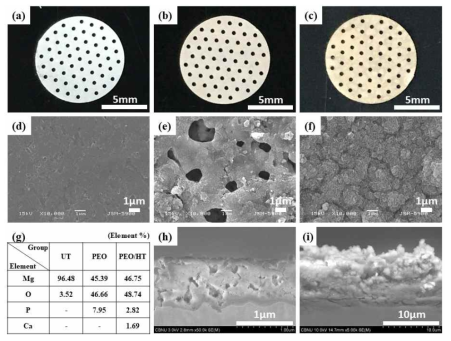 Optical images of (a) untreated Mg mesh, (b) PEO-treated Mg mesh, (c) PEO/HT-treated Mg mesh, SEM surface morphologies of (d) untreated Mg mesh, (e) PEO-treated Mg mesh, (f) PEO/HT-treated Mg mesh, (g) chemical composition on the surfaces, cross-sectional images of (h) PEO-treated Mg mesh, (i) PEO/HT-treated Mg mesh