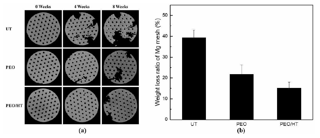 (a) 3D reconstruction for Mg meshes after immersion in SBF for 4 and 8 weeks, and (b) weight loss ratio of the Mg meshes after immersion in SBF for 8 weeks