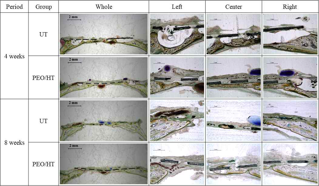 Histological images for bone regeneration in the rat calvarial defect after four weeks and eight weeks of implantation