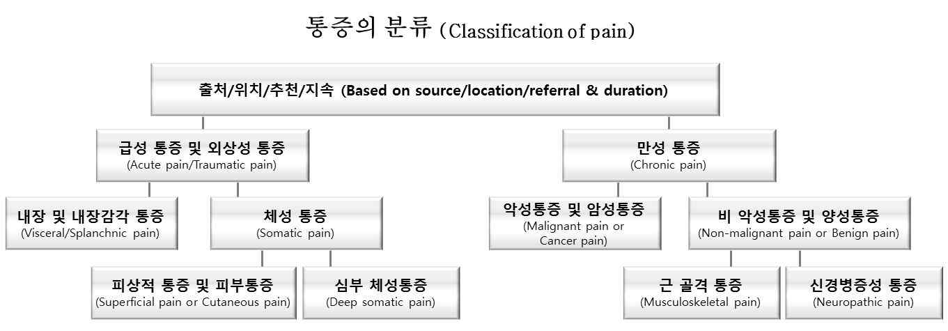 통증의 분류. 자극의 원인, 통증이 유발된 신체 부위, 통증지속시간에 따른 통증의 분류