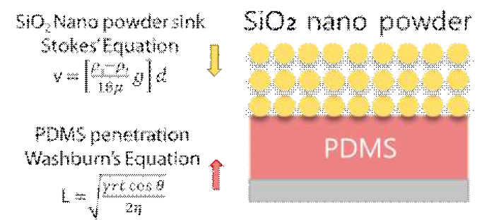 PDMS에 SiO2 파우더를 뿌렸을 때 PDMS와 SiO2 NPs거동에 관한 식