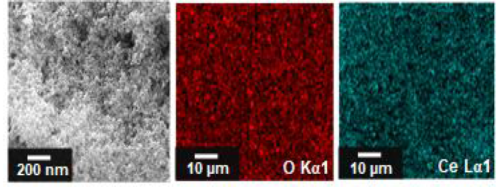 CeO2 박막의 FE-SEM과 O, Ce EDS mapping