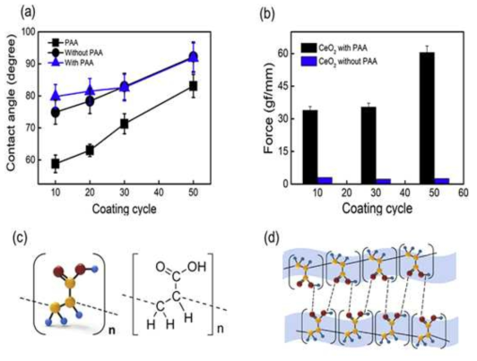 PAA를 첨가량에 따른 WCA(a), CeO2 코팅 cycle에 따른 peel-off test 결과(b, c, d), PAA의 분자모형과 결합 모형